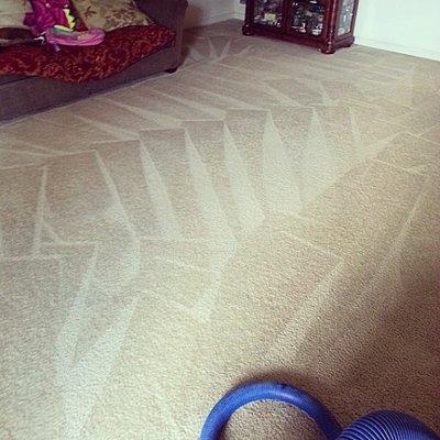 Have your carpets become a mess with stains and dirt? If you have pets or kids, carpet cleaning from  Professional Cleaning R...