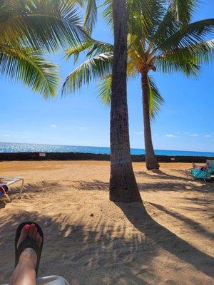 View from the lounge chairs provided