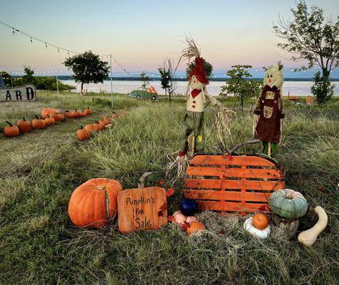 Pumpkin Palettes mixed with real Pumpkins