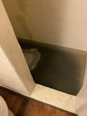 Sewer water back up in shower