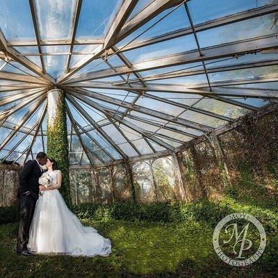 Look how lovely an abandoned green house can be!