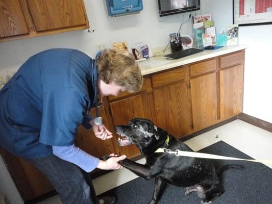 Dr. Adela New and a patient shaking hands.