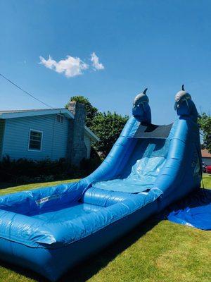 Dolphin Water Slide  - Provided by All About Fun, Inc - 610-253-4777 or www.allaboutfun.org