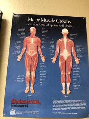 Here's your Muscles!