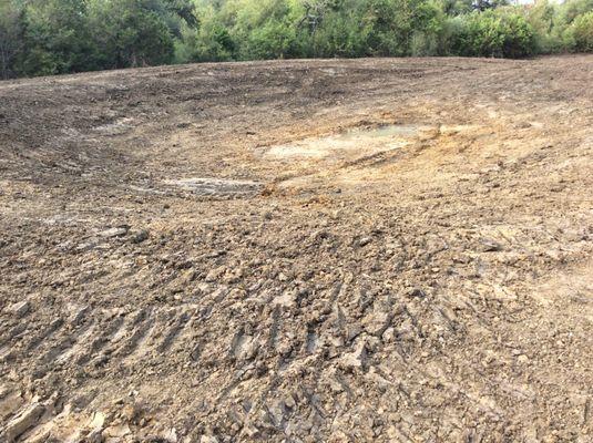 Gently sloping  water tank for cattle and wildlife in Buda, Texas. This fall special dig is 100'x150'x8' deep and only $4000.00.