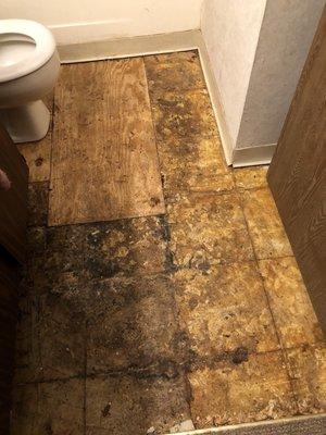 This is my bathroom floor from late April til move out on July31st