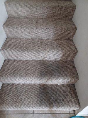 Carpet cleaning