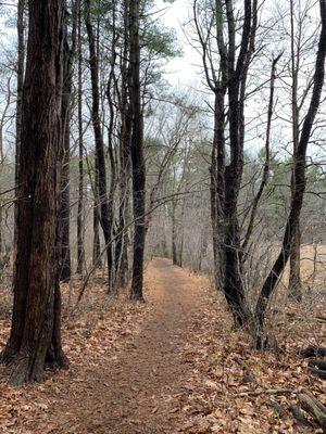 Walking trail