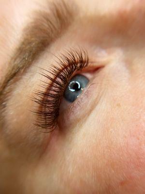 Brown Classic lash extensions