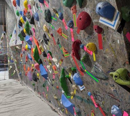 Lots of Bouldering