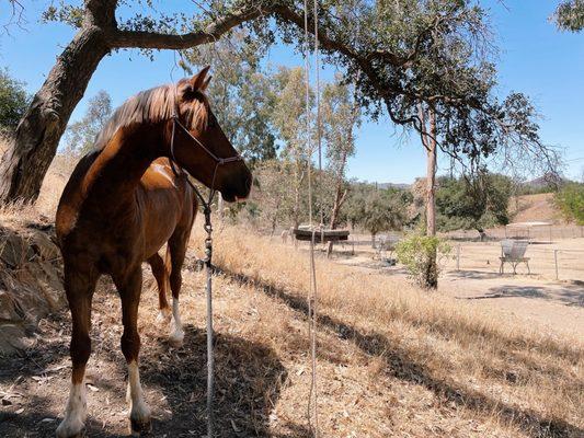 White Cloud Ranch