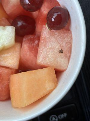 fruit cup featuring little guy