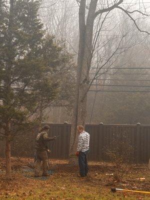 Areas where we can't get the larger equipment to are no problem. We have climbers in staff that can climb and rig any tree.