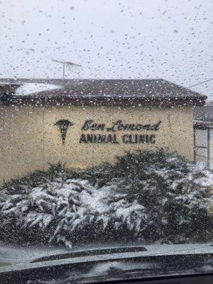 Ben Lomond Animal Clinic