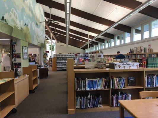 Large spacious modern library