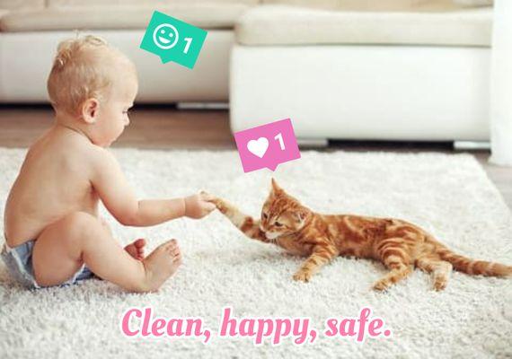 Clean, happy, safe