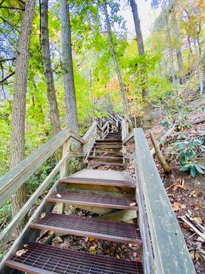 10.22 towards the S Rim 568 stairs up