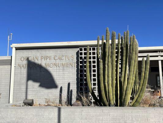 Organ Pipe Cactus National Monument