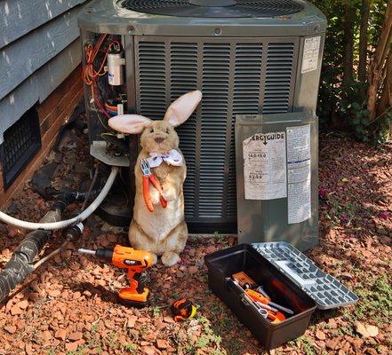 Tommy the bunny making sure your HVAC system is working perfectly