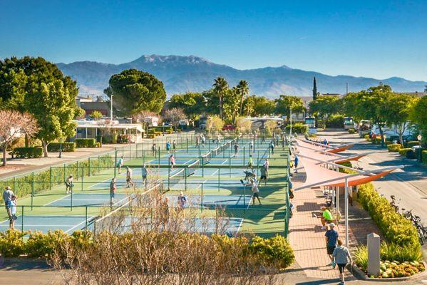 10 professional pickleball courts at Golden Village Palms RV Resort, Hemet CA