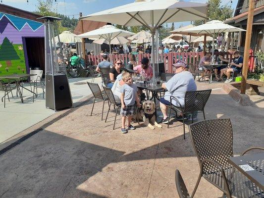 Photo of service dog in public at another place