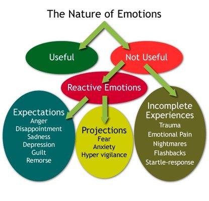 The Nature of Emotions