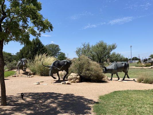 Bronze steer exhibit in front