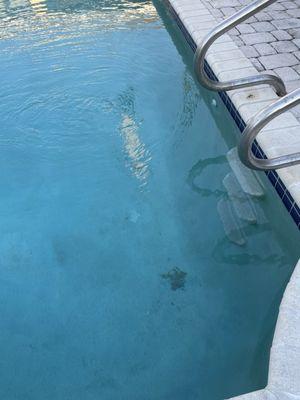 Photo of pool bottom after service tech "cleaned" my pool. Beware of this company!