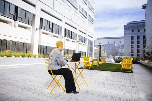 The quad is a popular outdoor space for law students to eat or study.