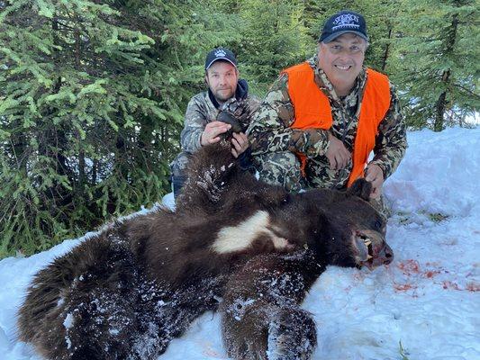 Hunter, Larry shanley, Jr. Scores on a beautiful 2020 chocolate phase black bear. Stockton Outfitters is renowned for its black bear  hunts.