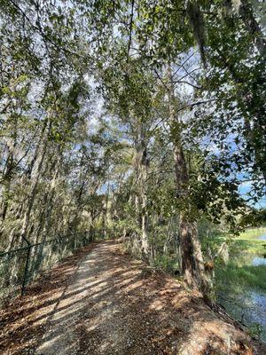 Lake Nature Trail