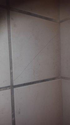 Dirty floor in bathroom