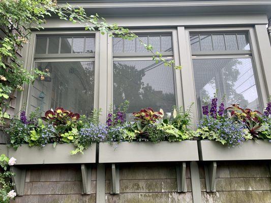 More window box examples