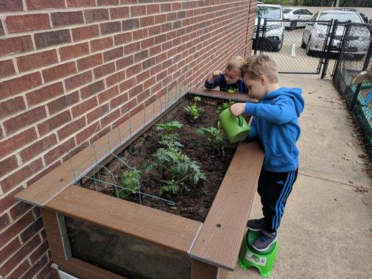 Our garden by the playground