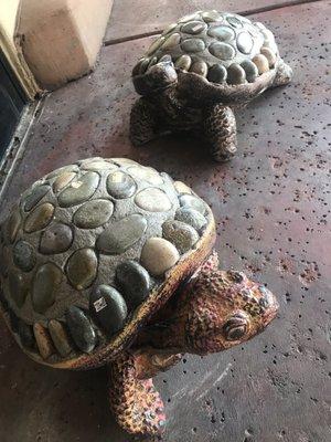 Bashas on swan turtles are loose at n front patio door ! Jk ( for sale )