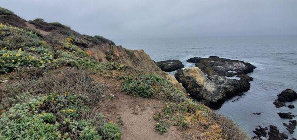 Tomales point