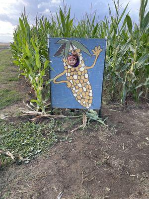 Corn maze