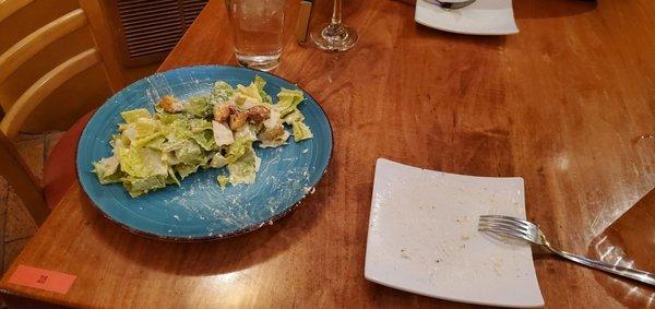 Ceasar salad was delicious and too large to finish.