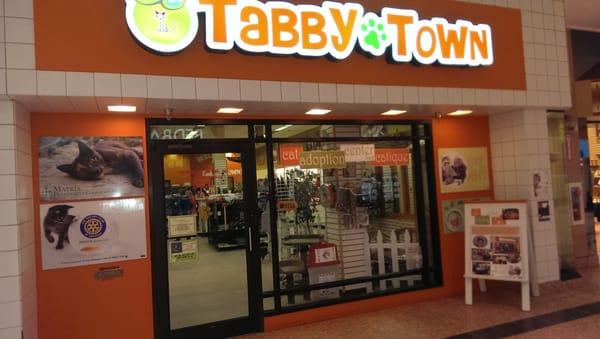 Tabby Town~ an adoption center & catique for rescued cats and kittens. Cared for by volunteers, it's their "home between homes"!