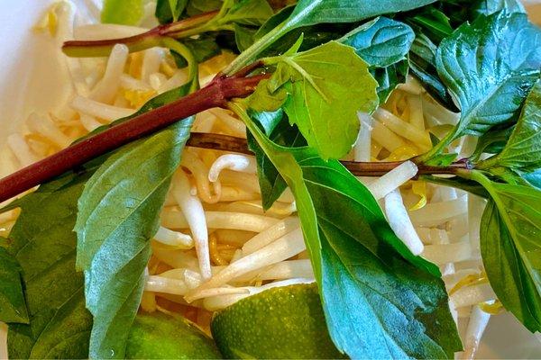 Fresh basil and bean sprouts