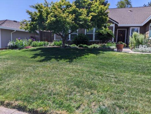 Pre-installation: Sloping Lawn