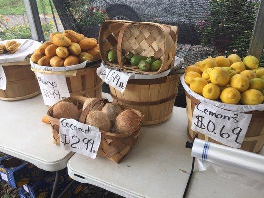 Fruits outside