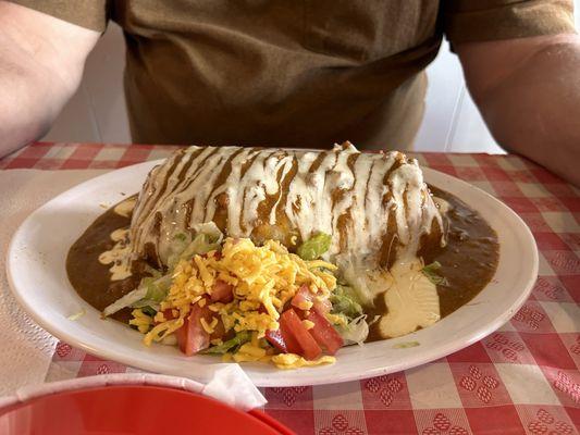 Burrito - big and tasty!