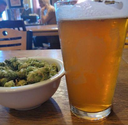 My Apricot Honey beer placed along a bowl of hops(it's there for decoration). The Prosser area is known for it's Hops crops!