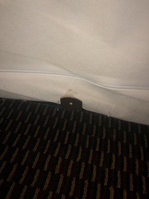 Bed frame support that caused the injury