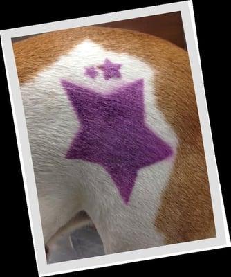 We offer all sorts of services includes stencil designs.