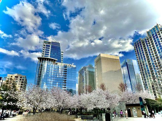 Romare Bearden Park