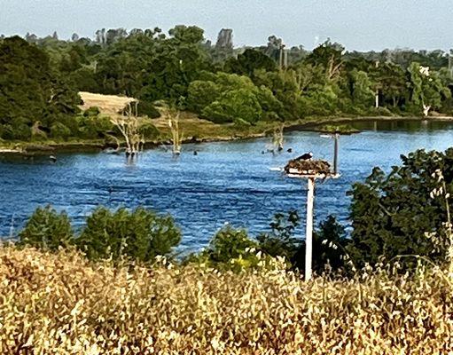 Lake Mcclure & Lake Mcswain