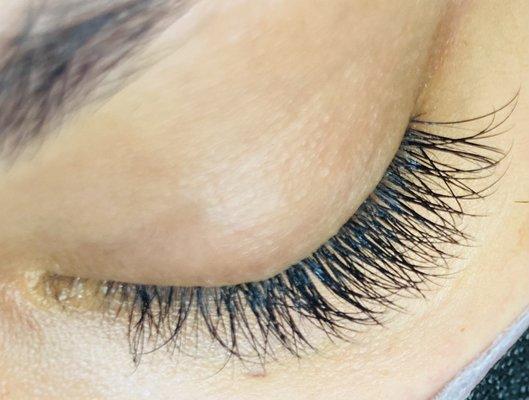 Lash Extensions By Camille