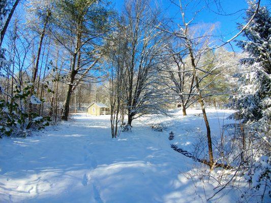 Over the "river" and through the woods to cabin #6 we go (in the snow!).